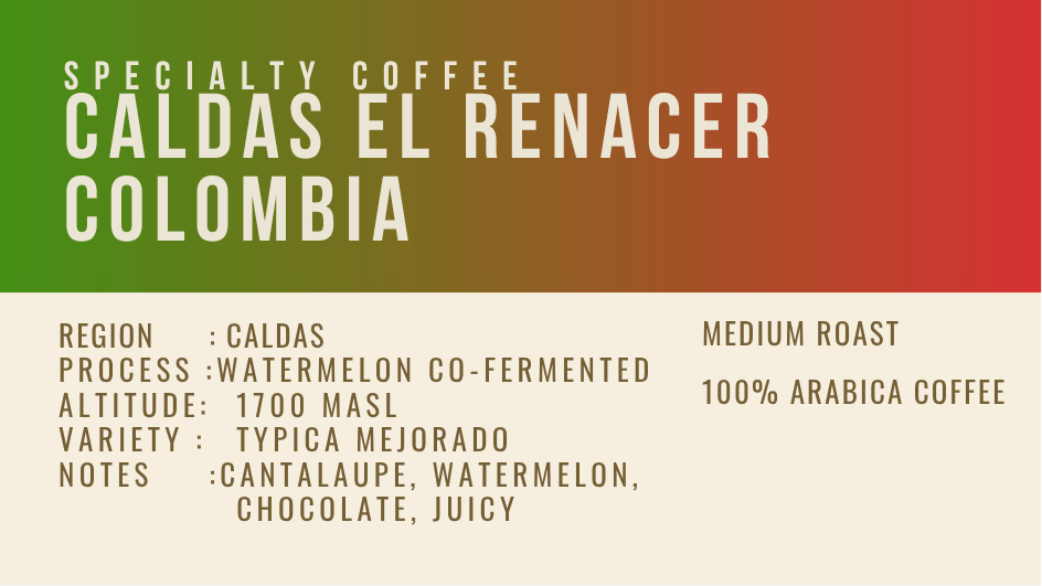 Colombia Caldas El Renacer Watermelon Co-Fermented 100g - Image 3