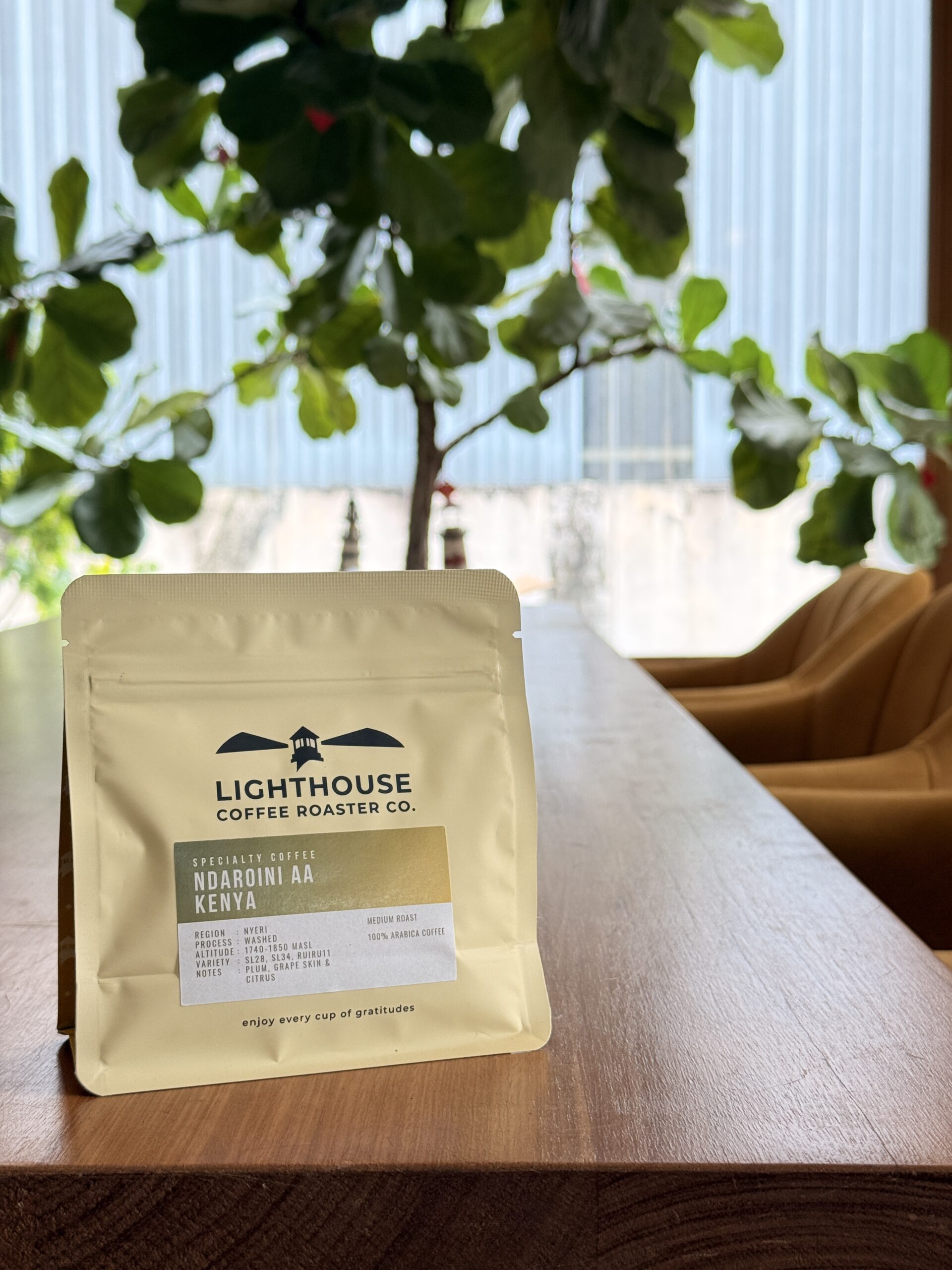 Kenya Ndaroini AA Washed 100g - Image 3